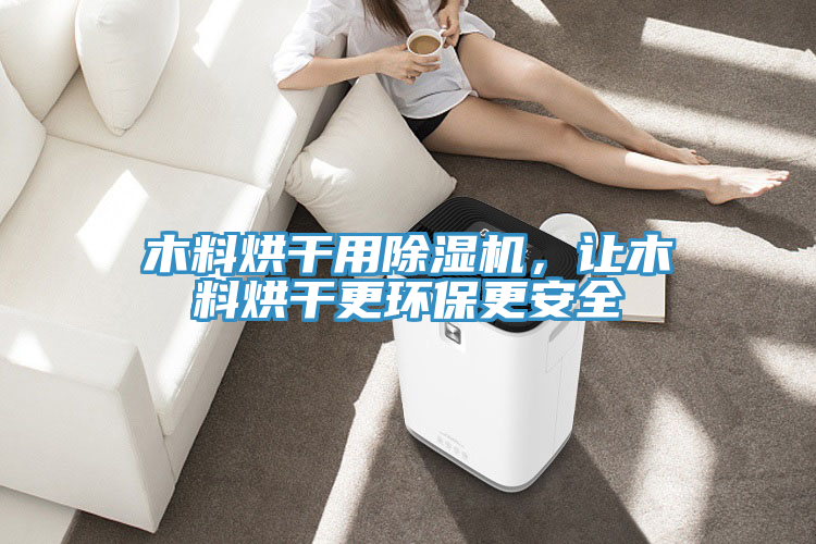 木料烘幹用好色先生在线播放，讓木料烘幹更環保更安全