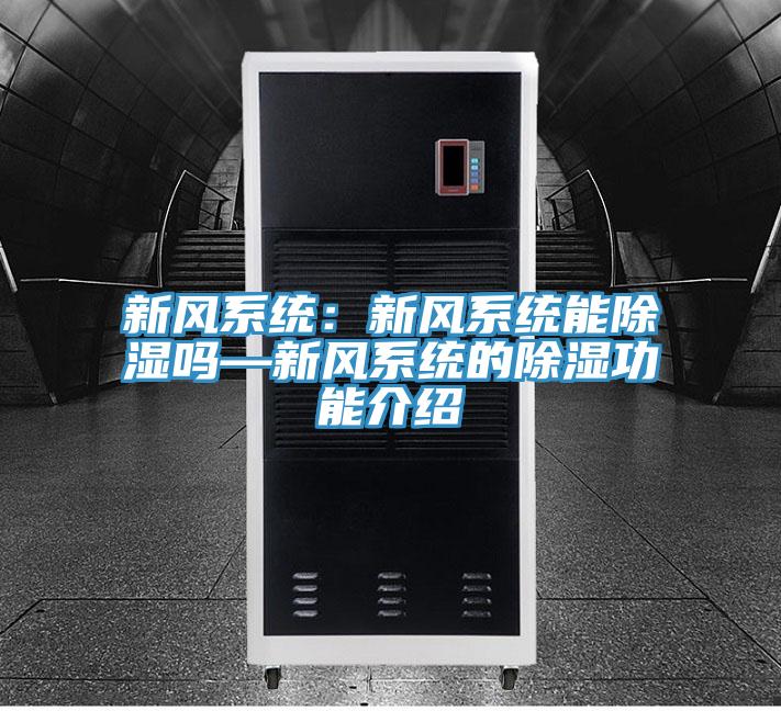 新風係統：新風係統能除濕嗎—新風係統的除濕功能介紹