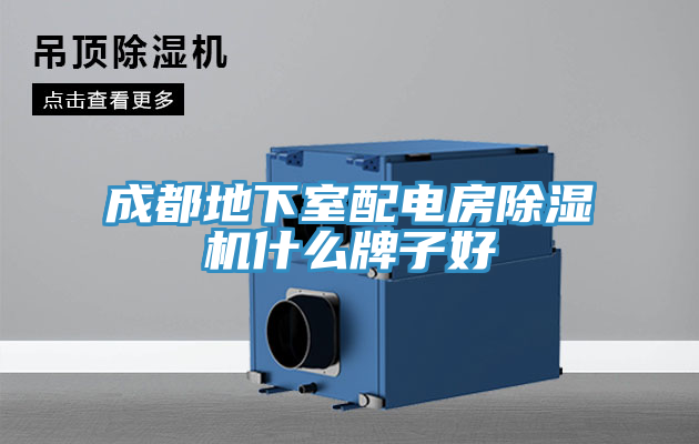 成都地下室配電房好色先生在线播放什麽牌子好