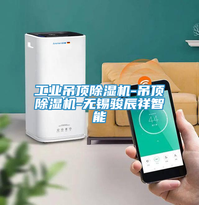 工業吊頂好色先生在线播放-吊頂好色先生在线播放-無錫駿辰祥智能