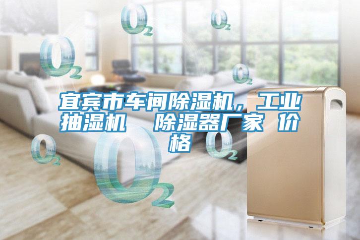 宜賓市車間好色先生在线播放，工業抽濕機  除濕器廠家 價格