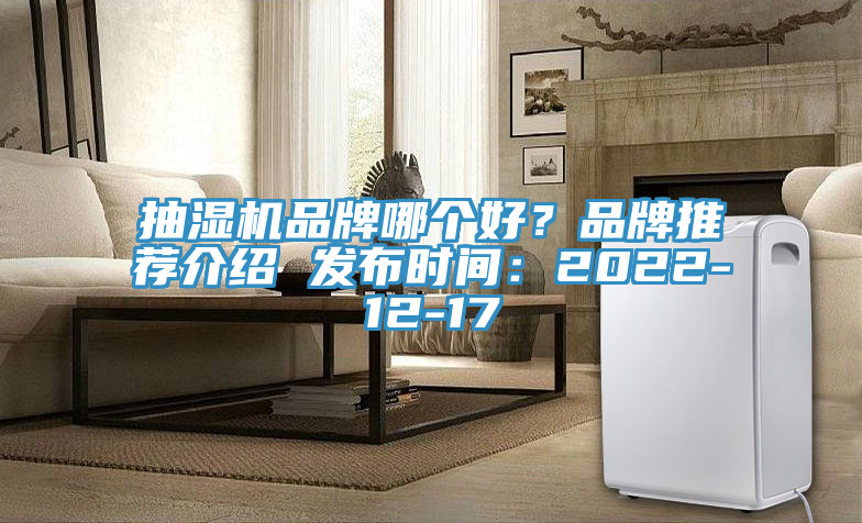 抽濕機品牌哪個好？品牌推薦介紹 發布時間：2022-12-17
