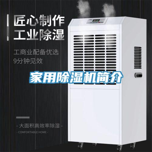 家用好色先生在线播放簡介