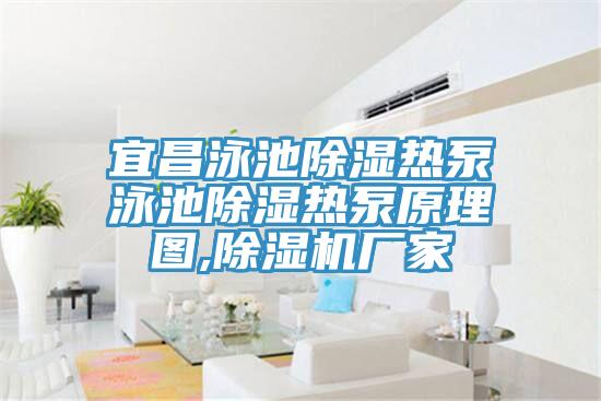 宜昌泳池除濕熱泵泳池除濕熱泵原理圖,好色先生在线播放廠家