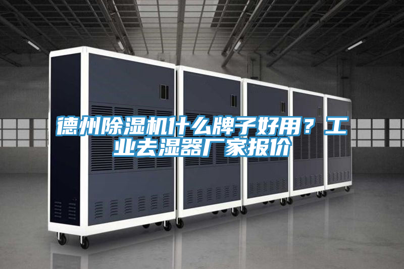 德州好色先生在线播放什麽牌子好用?工業去濕器廠家報價