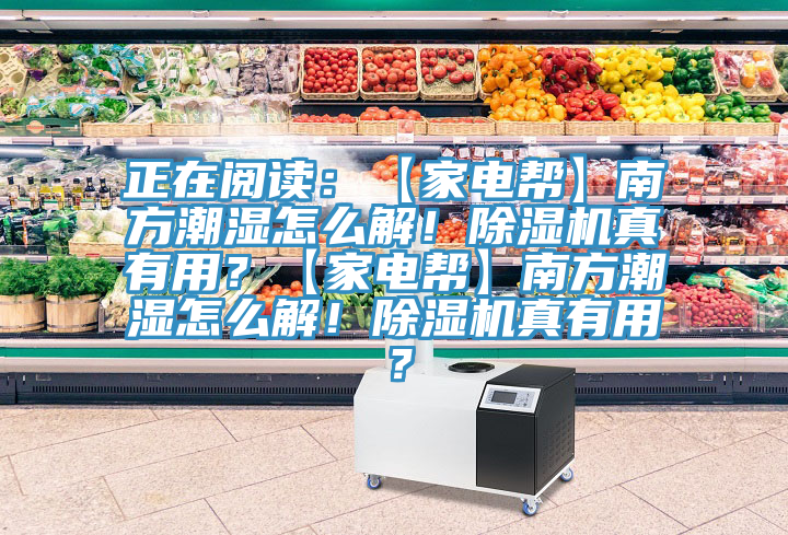 正在閱讀：【家電幫】南方潮濕怎麽解！好色先生在线播放真有用？【家電幫】南方潮濕怎麽解！好色先生在线播放真有用？