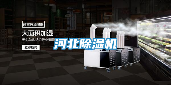 河北好色先生在线播放