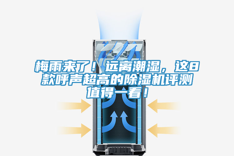 梅雨來了！遠離潮濕，這8款呼聲超高的好色先生在线播放評測值得一看！