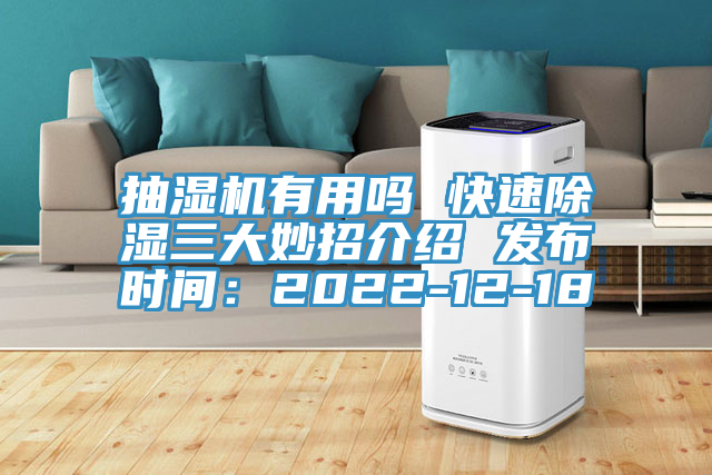 抽濕機有用嗎 快速除濕三大妙招介紹 發布時間：2022-12-18