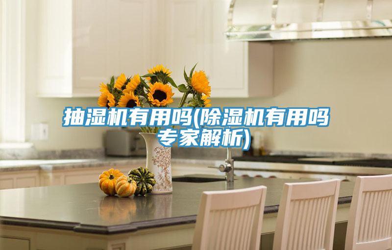 抽濕機有用嗎(好色先生在线播放有用嗎 專家解析)