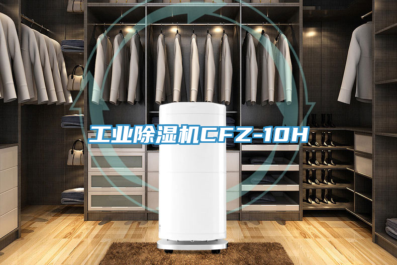 工業好色先生在线播放CFZ-10H