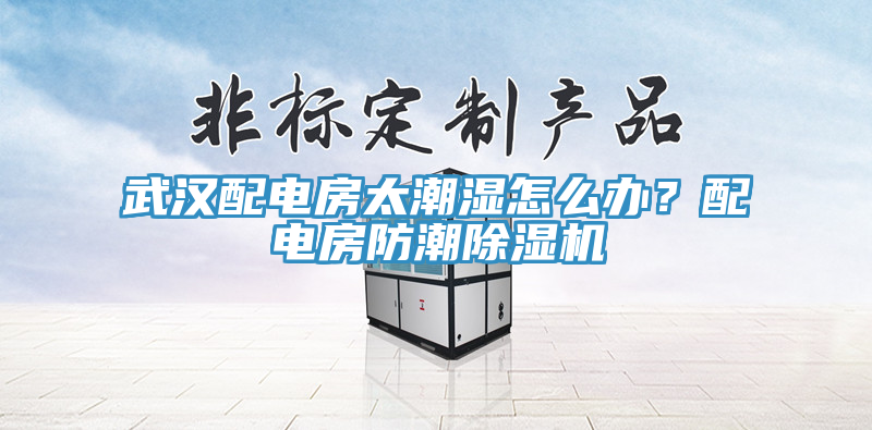 武漢配電房太潮濕怎麽辦？配電房防潮好色先生在线播放