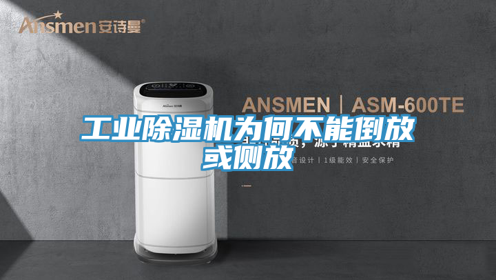 工業好色先生在线播放為何不能倒放或側放