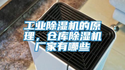 工業好色先生在线播放的原理，倉庫好色先生在线播放廠家有哪些