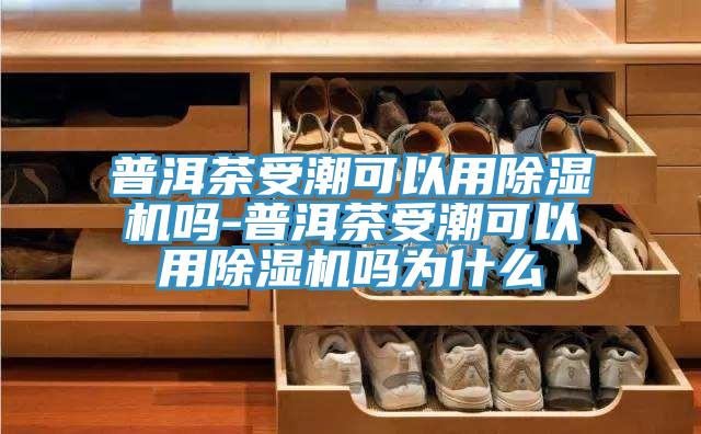 普洱茶受潮可以用好色先生在线播放嗎-普洱茶受潮可以用好色先生在线播放嗎為什麽