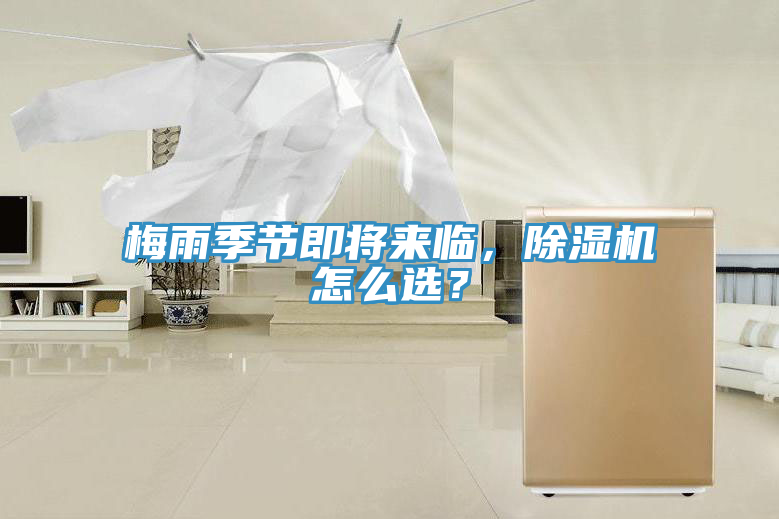 梅雨季節即將來臨，好色先生在线播放怎麽選？