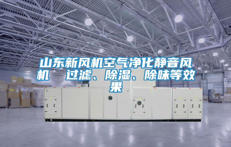 山東新風機空氣淨化靜音風機  過濾、除濕、除味等效果