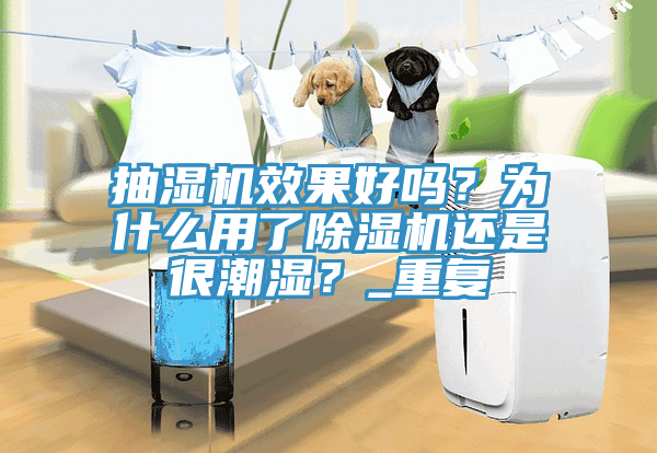 抽濕機效果好嗎?為什麽用了好色先生在线播放還是很潮濕?_重複