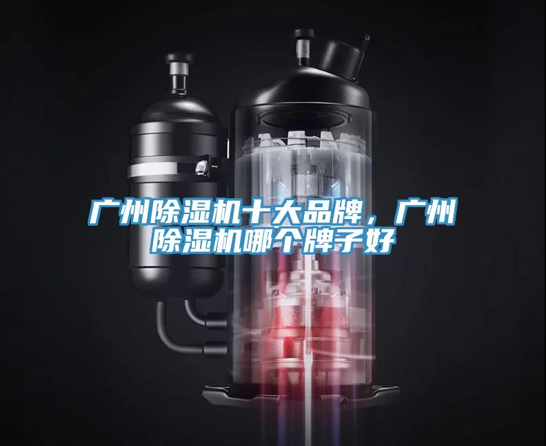 廣州好色先生在线播放十大品牌,廣州好色先生在线播放哪個牌子好