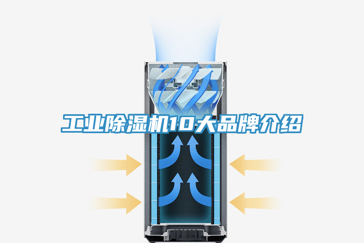 工業好色先生在线播放10大品牌介紹