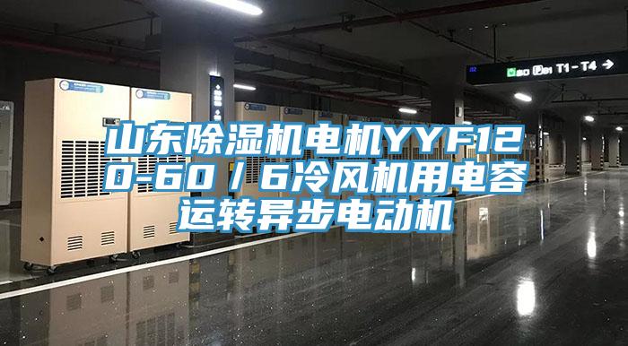 山東好色先生在线播放電機YYF120-60／6冷風機用電容運轉異步電動機