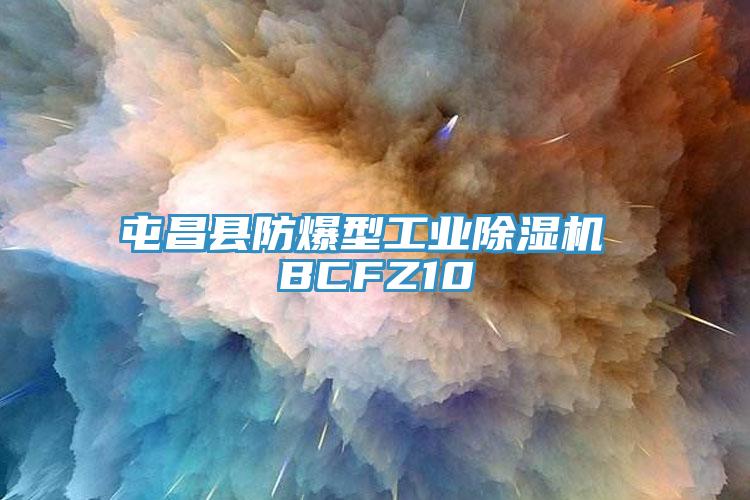 屯昌縣防爆型工業好色先生在线播放 BCFZ10