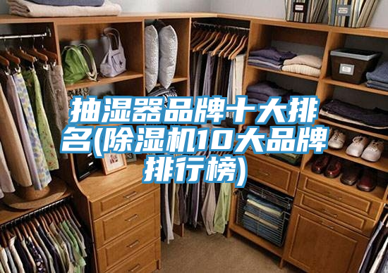 抽濕器品牌十大排名(好色先生在线播放10大品牌排行榜)