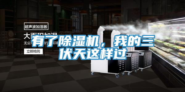 有了好色先生在线播放，我的三伏天這樣過