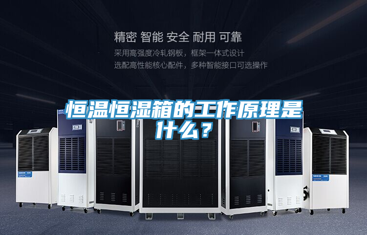 恒溫恒濕箱的工作原理是什麽?