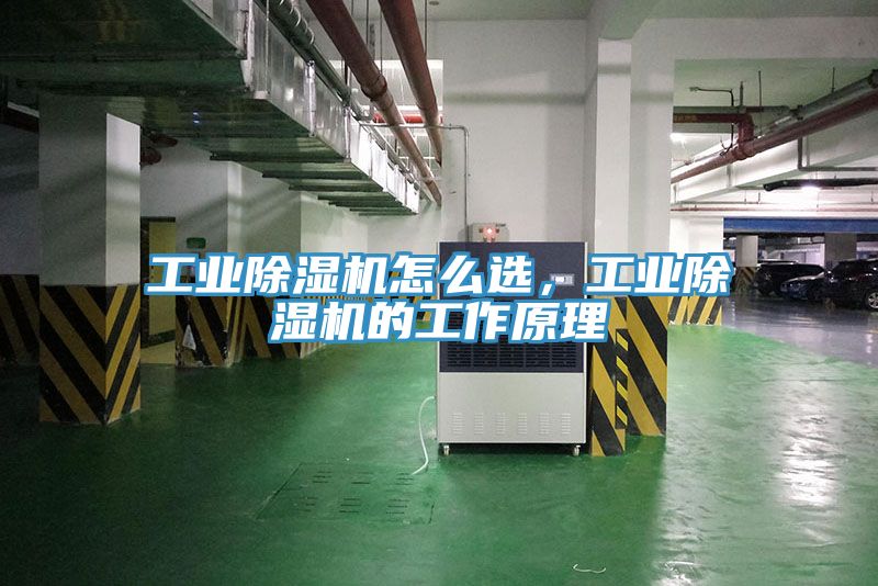 工業好色先生在线播放怎麽選，工業好色先生在线播放的工作原理