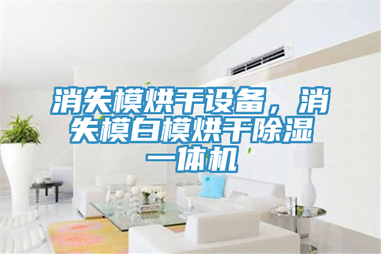 消失模烘幹設備，消失模白模烘幹除濕一體機