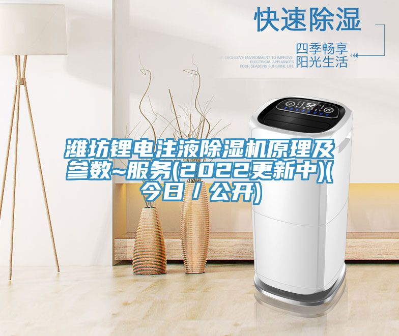 濰坊鋰電注液好色先生在线播放原理及參數~服務(2022更新中)(今日／公開)