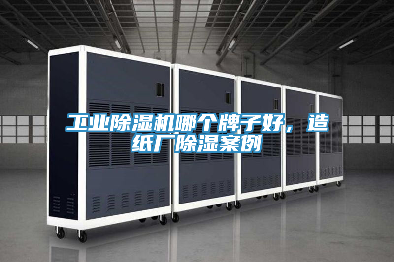 工業好色先生在线播放哪個牌子好,造紙廠除濕案例