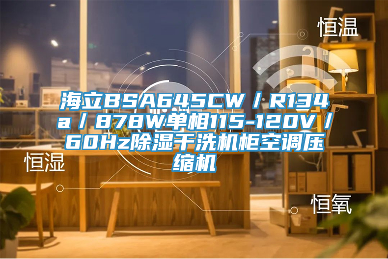 海立BSA645CW/R134a/878W單相115-120V/60Hz除濕幹洗機櫃空調壓縮機