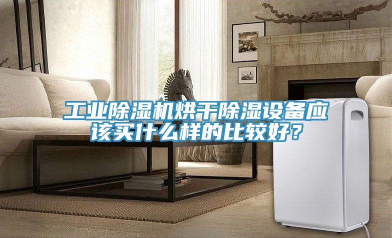 工業好色先生在线播放烘幹除濕設備應該買什麽樣的比較好？