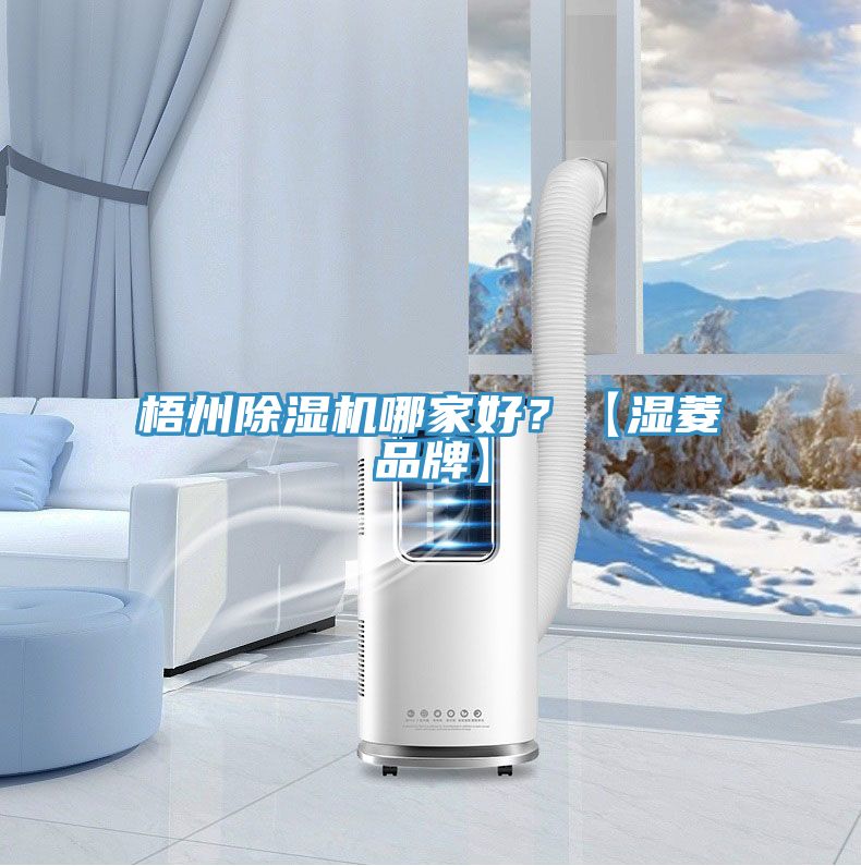 梧州好色先生在线播放哪家好？【濕菱品牌】