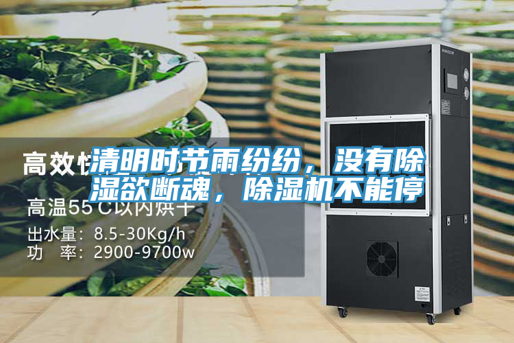 清明時節雨紛紛，沒有除濕欲斷魂，好色先生在线播放不能停