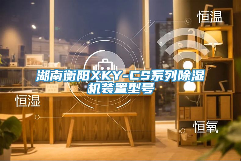 湖南衡陽XKY-CS係列好色先生在线播放裝置型號