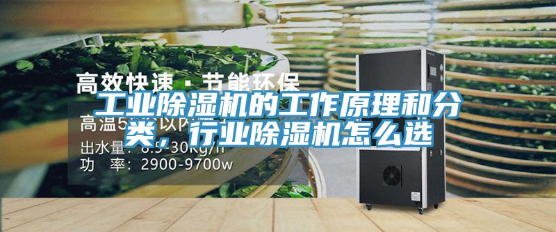 工業好色先生在线播放的工作原理和分類，行業好色先生在线播放怎麽選