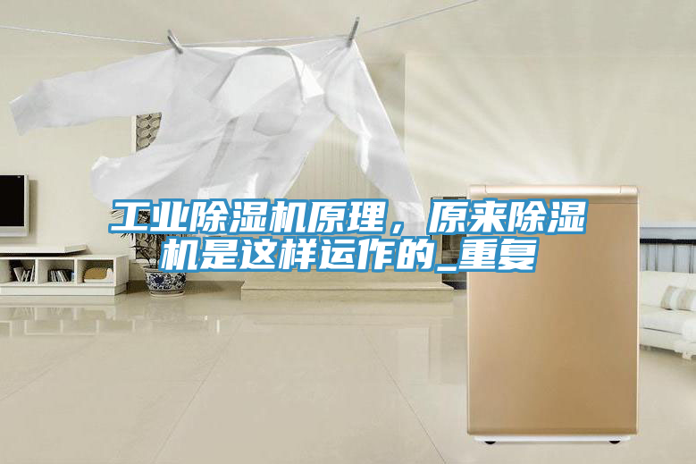 工業好色先生在线播放原理，原來好色先生在线播放是這樣運作的_重複