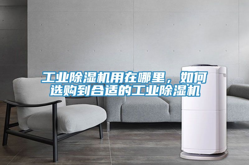 工業好色先生在线播放用在哪裏，如何選購到合適的工業好色先生在线播放