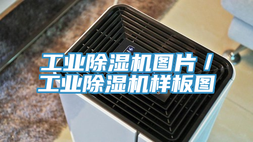 工業好色先生在线播放圖片/工業好色先生在线播放樣板圖