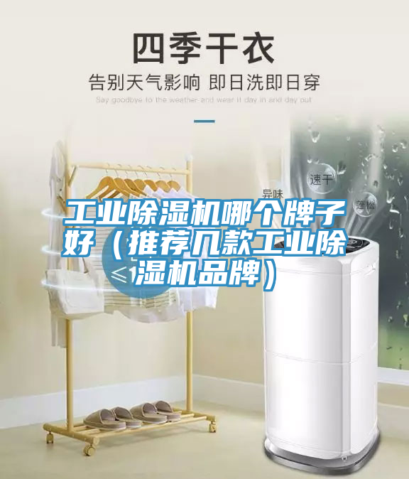 工業好色先生在线播放哪個牌子好(推薦幾款工業好色先生在线播放品牌)