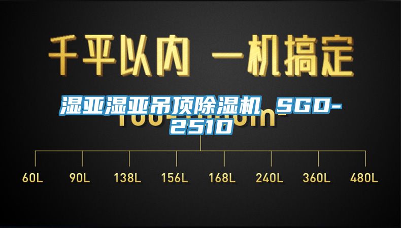 濕亞濕亞吊頂好色先生在线播放 SGD-251D