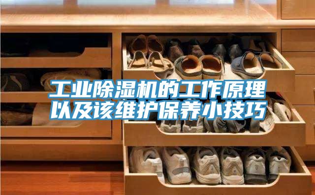 工業好色先生在线播放的工作原理以及該維護保養小技巧