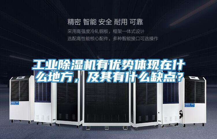 工業好色先生在线播放有優勢體現在什麽地方，及其有什麽缺點？