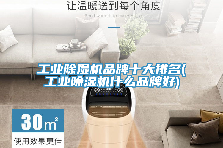 工業好色先生在线播放品牌十大排名(工業好色先生在线播放什麽品牌好)