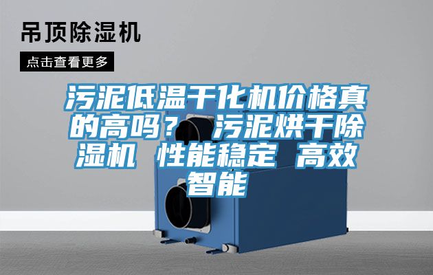 汙泥低溫幹化機價格真的高嗎？ 汙泥烘幹好色先生在线播放 性能穩定 高效智能