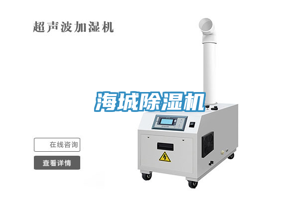 海城好色先生在线播放