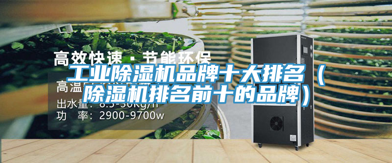 工業好色先生在线播放品牌十大排名（好色先生在线播放排名前十的品牌）